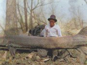 Xem ăn chơi - Tìm được "siêu quái vật" sống sót xuyên đại tuyệt chủng khủng long