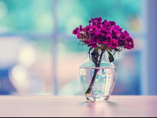 Con át chủ bài lớn nhất đời người chính là 2 chữ này