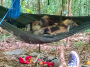 Tin tức - Tin tức 24h: Thông tin mới vụ hai thi thể chết khô trên võng ở trong rừng