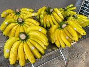 Loại quả có tên gọi lạ xưa không ai ăn, nay là đặc sản nổi tiếng chị em ưa chuộng, 70.000 đồng/kg