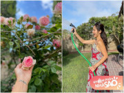 Nhà đẹp - Kim Hiền sang Mỹ sống yên bình với chồng con, khoe biệt thự sân vườn rộng hơn ở quê