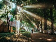 Xem ăn chơi - Hà Nội là một điểm đến hấp dẫn nhất thế giới vào mùa thu