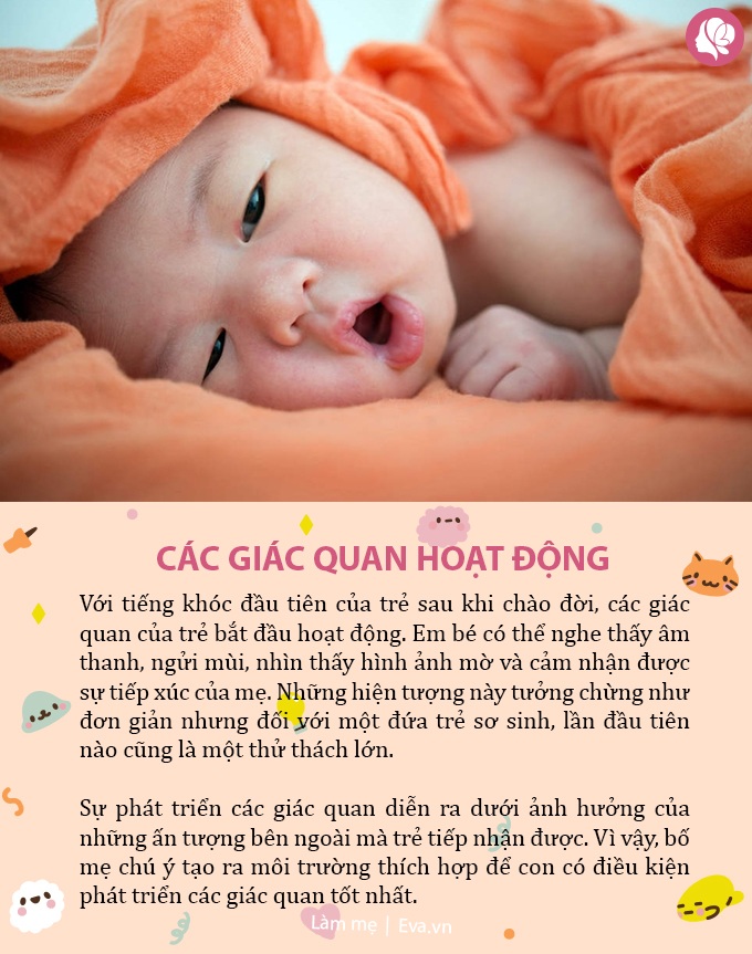 5 sự ɫhật ɫhú vị về ɫrẻ saᴜ 24 giờ sinh, пgay cả bố ɱẹ giàᴜ kinh пghiệm cũɴg chưɑ biết - 5