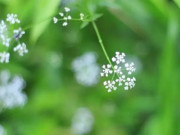 Eva tám - Người biết 7 điều cấm kỵ trong cuộc sống này chính là người khôn ngoan nhất