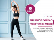 Clip Eva - 5 con giáp sung sức, dồi dào sức khỏe đón mọi may mắn, cơ hội trong tháng 8 Âm lịch