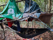 Tin tức - Tin tức 24h: Phát hiện phòng trọ có nhiều đồ vật liên quan đến 2 nạn nhân tử vong trong rừng