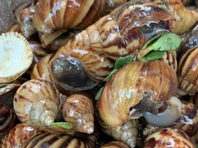 Đặc sản xưa không ai dám ăn, giờ được ưa chuộng đến lạ, muốn thưởng thức phải đặt trước, 80.000 đồng/kg