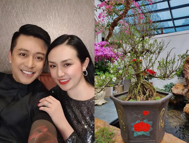 Nam ca sĩ từng khoe chậu hoa mai đắt tiền được bố vợ tặng nhân dịp Tết.