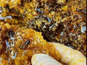 Tiêu dùng - Đặc sản hiếm có ở Tây Nguyên, vô cùng đắt đỏ, ai may mắn lắm mới được dịp thưởng thức, 900.000 đồng/kg