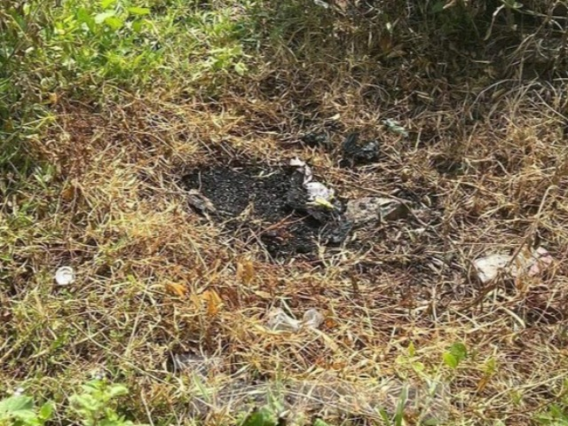 Tin tức 24h: Tình tiết mới vụ thi thể trẻ sơ sinh bị đốt cháy ở Bình Dương