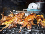 Xem ăn chơi - Loài vật có tiếng “bẩn thỉu” không ai thèm bắt lại là đặc sản Hà Giang, thậm chí còn được làm đồ cúng