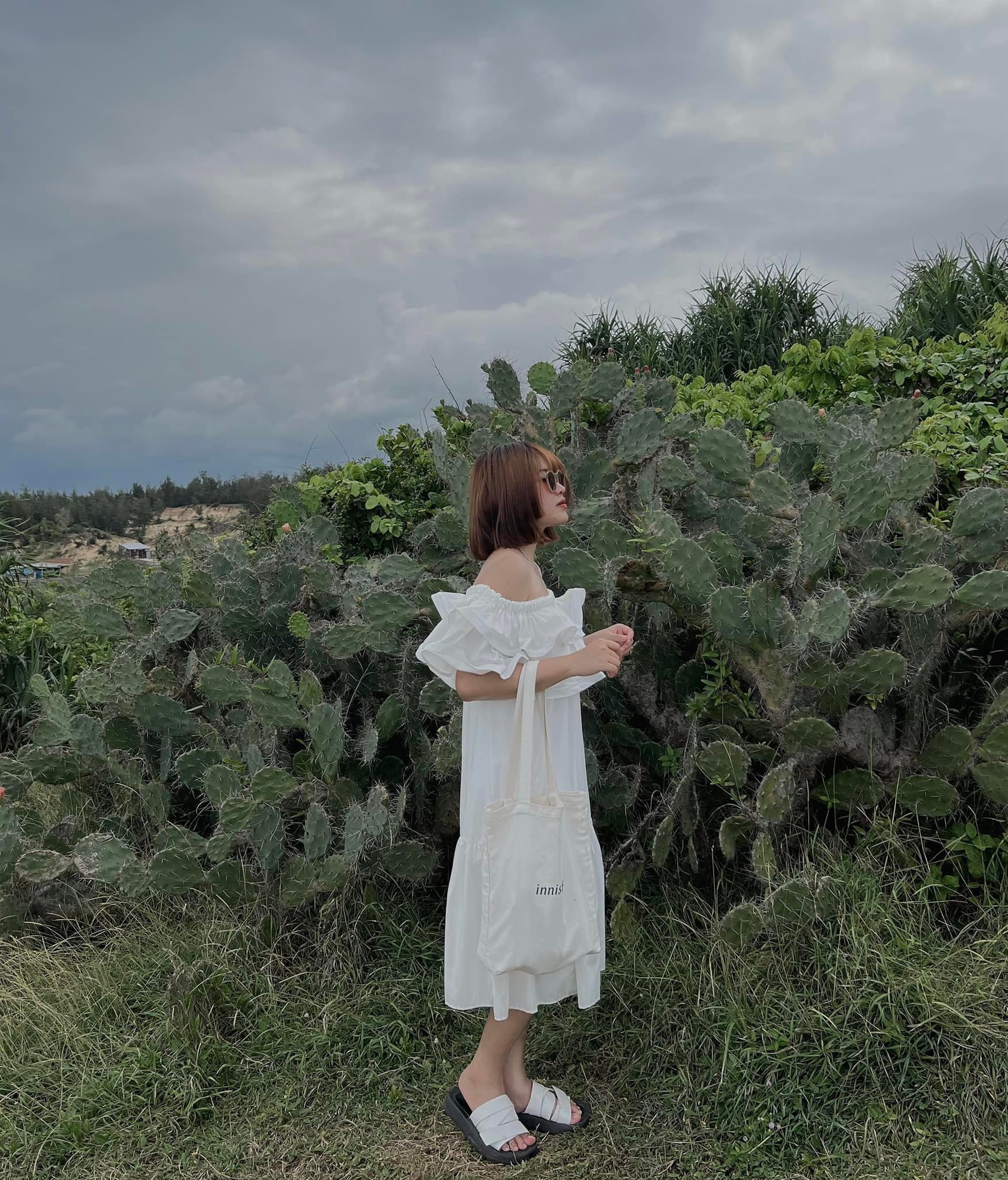 Xứ sở hoa vàng trên cỏ xanh