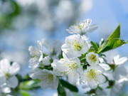 Eva tám - Càng học được cách sống này, cuộc đời sẽ càng có phúc