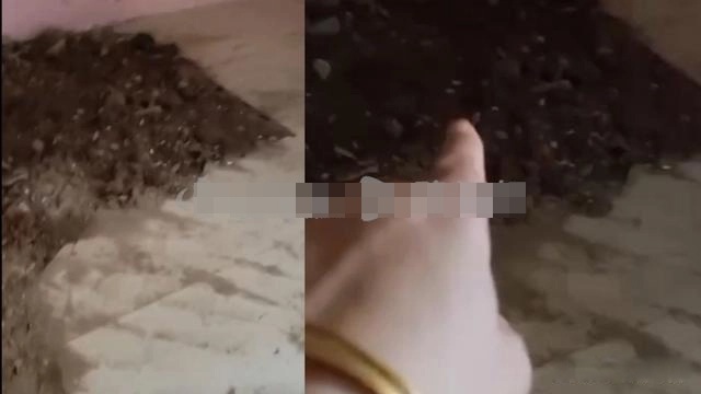 Vợ vừa mất tích, chồng lập tức xây ngôi nhà 3 tầng giữa vườn, 15 năm sau sự thật kinh hoàng hé lộ - 2