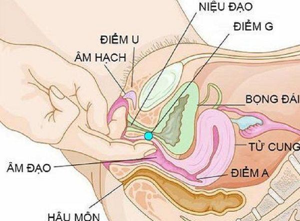 Vị trí điểm G mỗi người sẽ khác nhau, chị em có thể tự mình khám phá rồi tế nhị chia sẻ với chồng/bạn tình. (Ảnh minh họa)