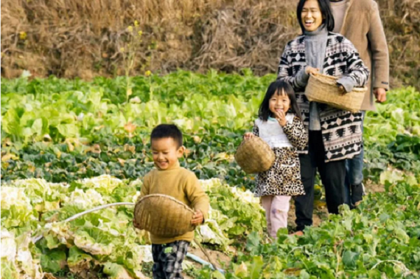 Vợ chồng 9X tự tay nhào đất sét nặn “biệt thự”, không gian bên trong ai nhìn cũng mê tít - 16