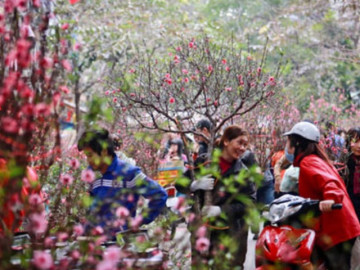  Bộ Nội vụ thống nhất phương án nghỉ Tết Nguyên đán 7 ngày 