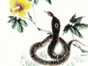 Eva tám - 4 con giáp là ngôi sao may mắn của cả gia đình