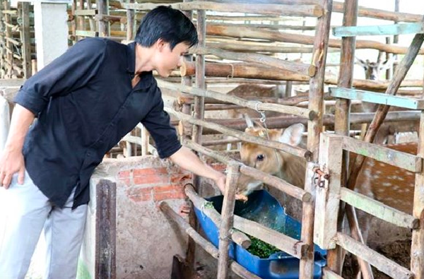 Anh Việt đi thăm đàn hươu sao.