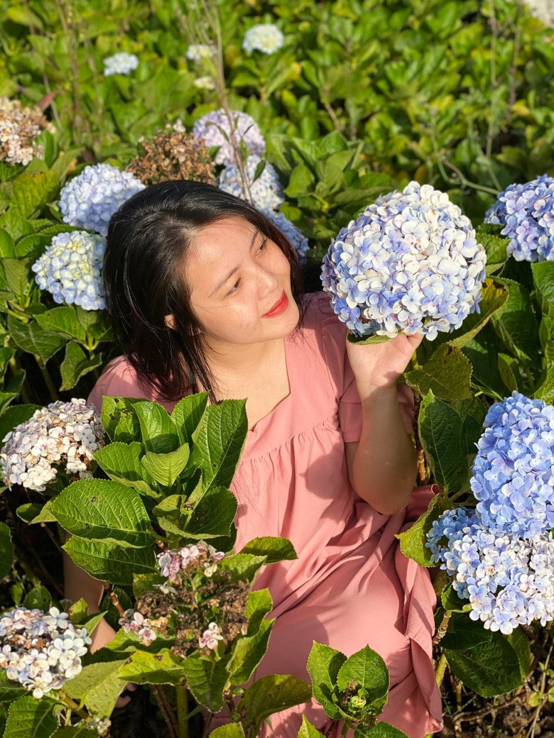 Lên Đà Lạt sinh sống khiến cuộc sống gia đình chị Mai trở nên ôn hòa hơn