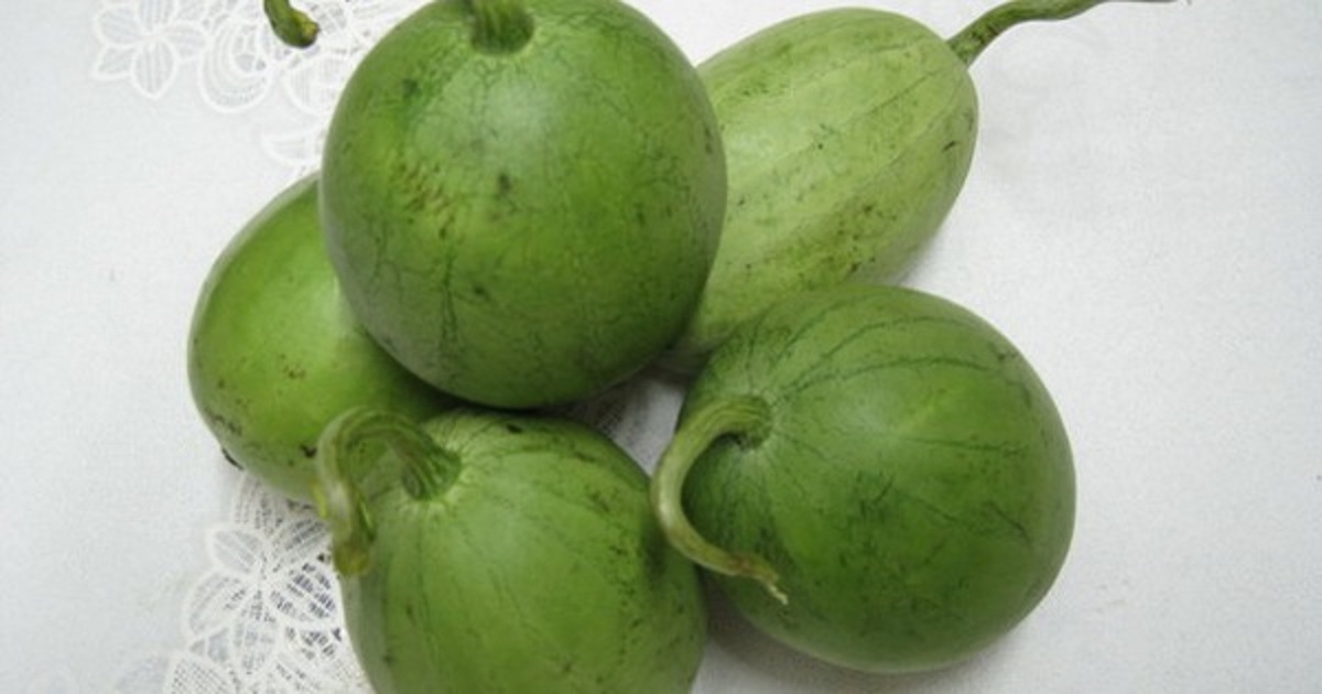 Loại quả hình dáng lạ lùng nhưng cực kỳ thân quen, nấu canh còn ngon hơn bầu, bí - 1