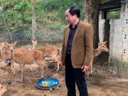 Nghề lạ ở Việt Nam: Nuôi con ăn rau rừng, uống nước lã, bán 400.000 đồng/kg thu lãi hàng trăm triệu