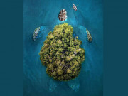 Eva tám - Trắc nghiệm tâm lý: Điều đầu tiên bạn nhìn thấy tiết lộ sự nghiệp trong cuối năm nay