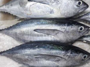 Xem ăn chơi - Loại cá xưa chẳng ai biết, giờ thành đặc sản nổi tiếng, muốn thưởng thức nhất định phải đến nơi này, 300.000 đồng/kg