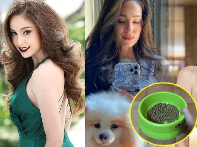 Bông hồng lai hàng đầu Thái Lan bị tố ép người giúp việc dùng đĩa đựng thức ăn cho chó