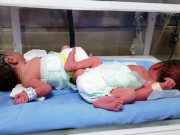 Bà bầu - Vợ sinh đôi đến lần thứ 5, chồng khăn gói bỏ đi: "Cô không thể bình thường như người ta sao?"