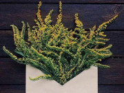 Eva tám - Con người muốn hoàn thiện hơn cần phải học được 3 chữ đừng