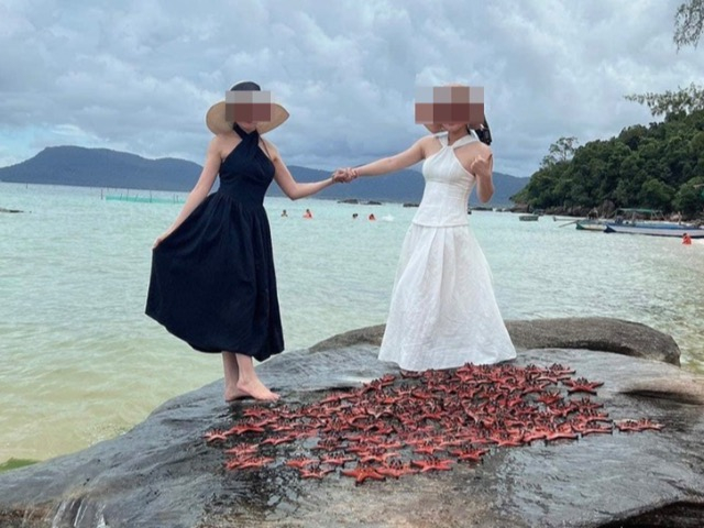 Nhóm 3 thanh niên 1 nam 2 nữ mang hơn 100 con sao biển phơi lên đá chụp ảnh ở Phú Quốc, CĐM bức xúc: Dân trí thấp!