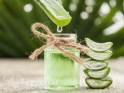 Sức khỏe - Nha đam chữa bệnh gì? Dùng nha đam chữa bệnh cần biết những điều này để tránh nhiễm độc