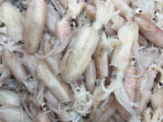 Xem ăn chơi - Loại mực xưa đầy không ai biết, giờ thành đặc sản nổi khắp cả nước, ai cũng muốn ăn, 200.000 đồng/kg