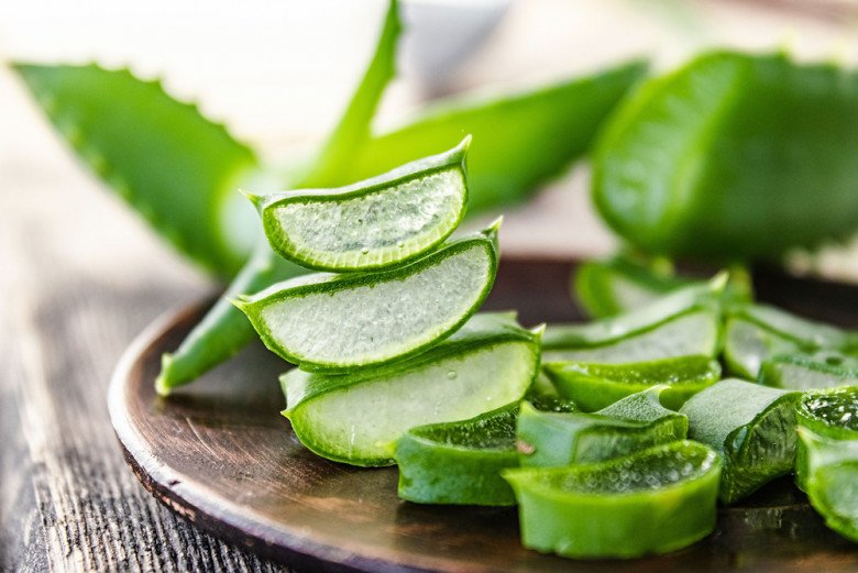 Nha đam có nhiều công dụng trong cuộc sống và y học. (Ảnh minh họa)