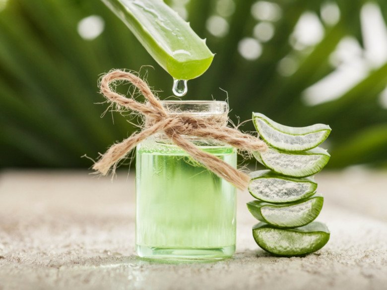Nhiều người dùng nha đam để làm nước uống giúp thanh mát, nhưng cần chú ý khi sơ chế. (Ảnh minh họa)
