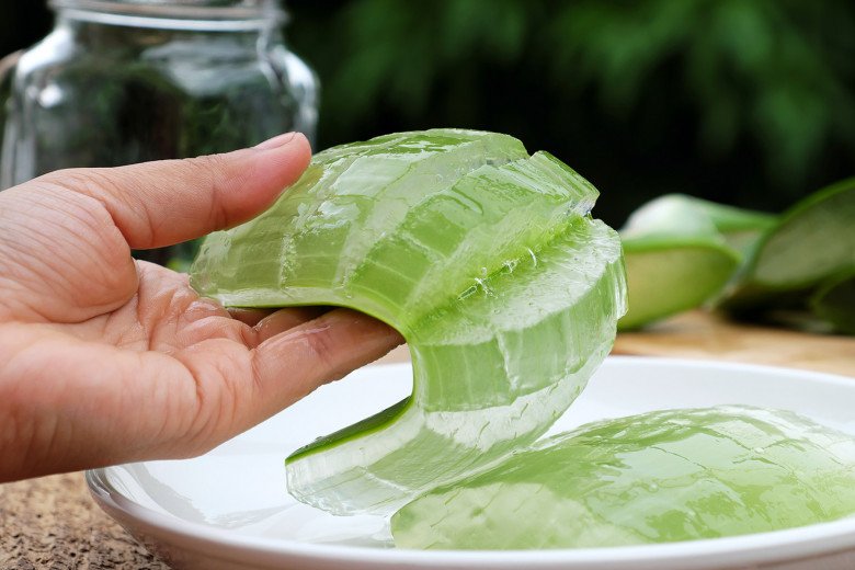 Trước khi lấy phần gel bên trong nha đam để sử dụng, cần loại bỏ lớp nhựa có khả năng gây độc. (Ảnh minh họa)