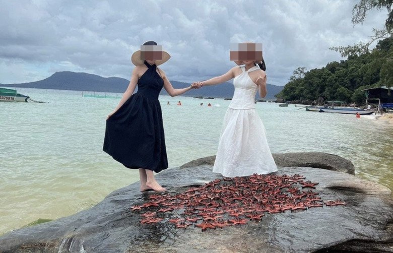 Nhóm 3 thanh niên 1 nam 2 nữ mang hơn 100 con sao biển phơi lên đá chụp ảnh ở Phú Quốc, CĐM bức xúc: amp;#34;Dân trí thấp!amp;#34; - 1