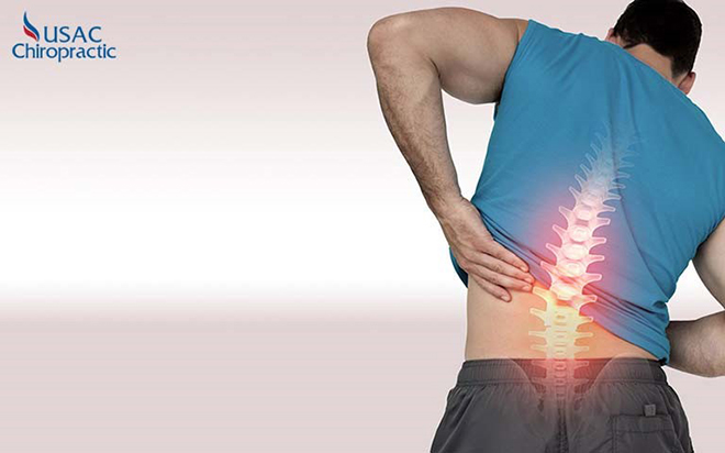 Chiropractic được áp dụng phổ biến để điều trị thoát vị đĩa đệm, thoái hóa cột sống, cong vẹo cột sống, chấn thương thể thao…