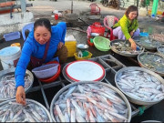 Xem ăn chơi - 4 khu chợ hải sản đông đúc nhất Phú Quốc