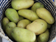 Sức khỏe - Rau củ xanh không phải lúc nào cũng tốt, 3 loại rau củ này càng xanh càng độc, đừng dại mà ăn