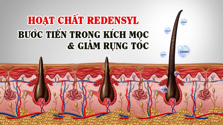 Tinh chất Kelina - Giải mã hiệu quả ngăn rụng, dưỡng chất bị phá vỡ - 3
