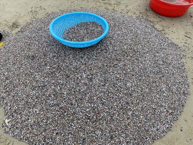 Chiếc chuyên cơ nhỏ bé được ví như chiếc amp; # 34; lucky havenamp; # 34; , chẳng ai thèm ăn, nay được nhiều người ưa chuộng vì ngon lạ, 100.000 đồng / kg - 7