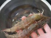 Bếp Eva - Mua tôm gặp 3 loại này dù rẻ mấy cũng tránh ngay, người bán cũng nể bạn thêm vài phần