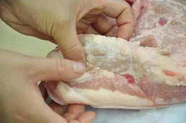 Hạch bạch huyết trên phần thịt cổ của con lợn