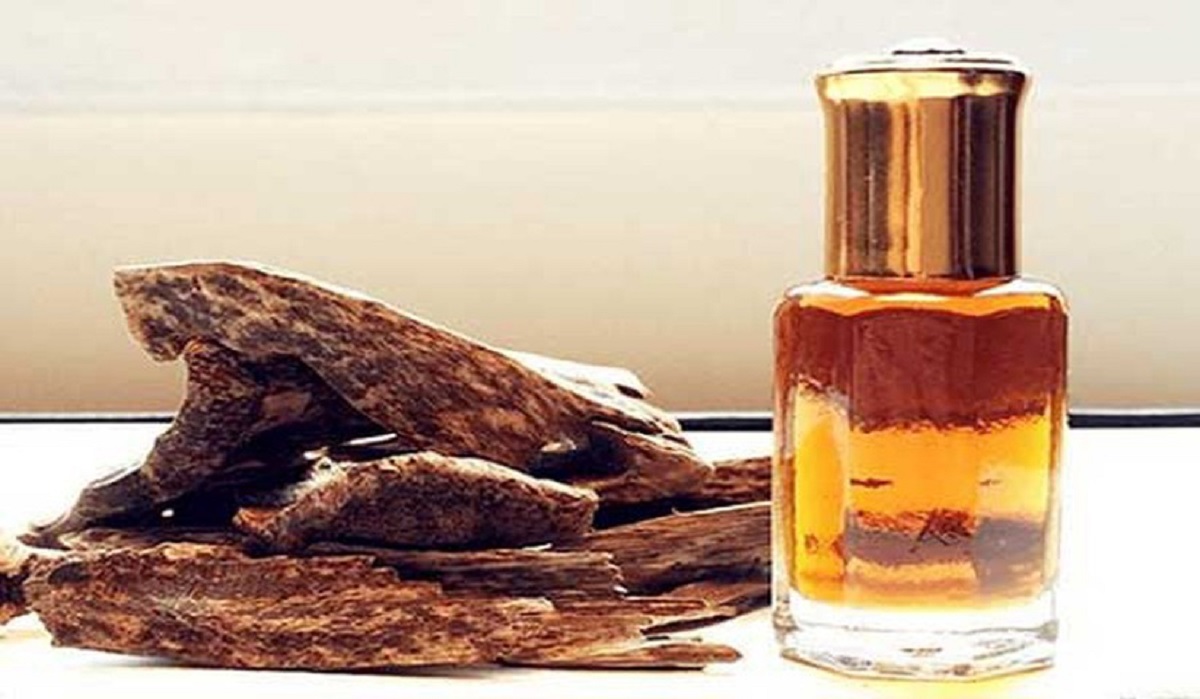 Loại gỗ đắt tiền có giá bạc tỷ / kg, cực tốt cho phong thủy, mang lại tài lộc, phú quý - 5