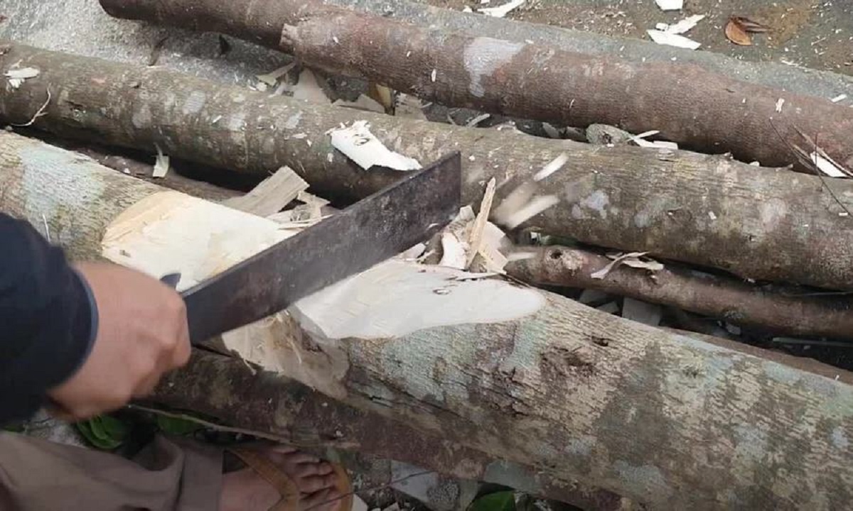 Loại gỗ đắt tiền có giá bạc tỷ / kg, cực tốt cho phong thủy, mang lại tài lộc, phú quý - 6