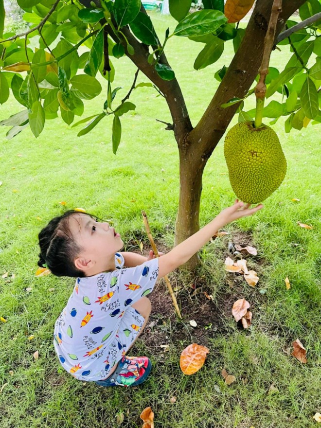 2 gia đình đông con bậc nhất showbiz Việt: Đều mua biệt thự rộng, thích trồng cây trái - 13