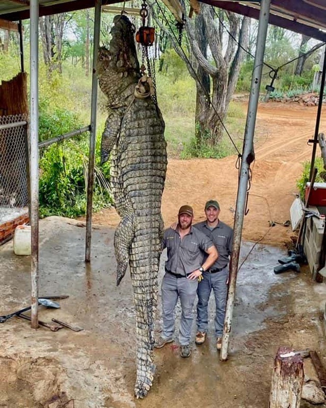 Cuộc Săn Lùng Cá Sấu - Trải Nghiệm Đầy Kịch Tính và Nguy Hiểm