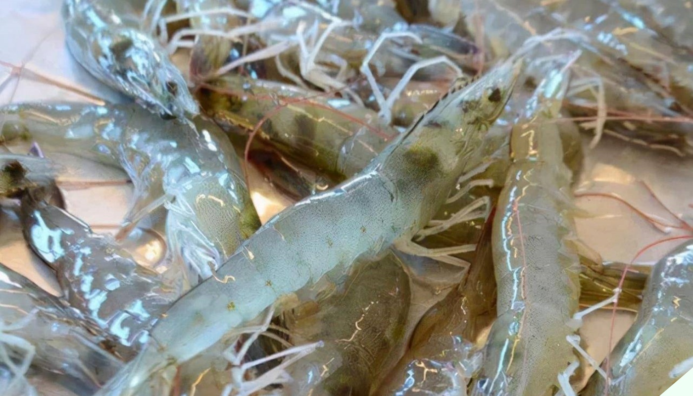 Tôm rất ngon và bổ dưỡng